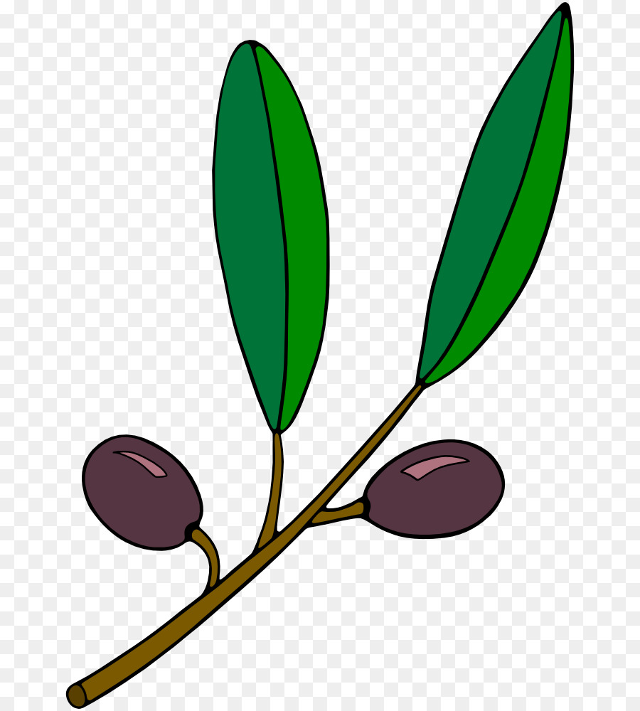 900x1000 Olive Branch Computer Icons Clip Art