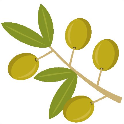 432x432 Vector Hand Drawn Olive Branch Detailed Sketch Illustrations