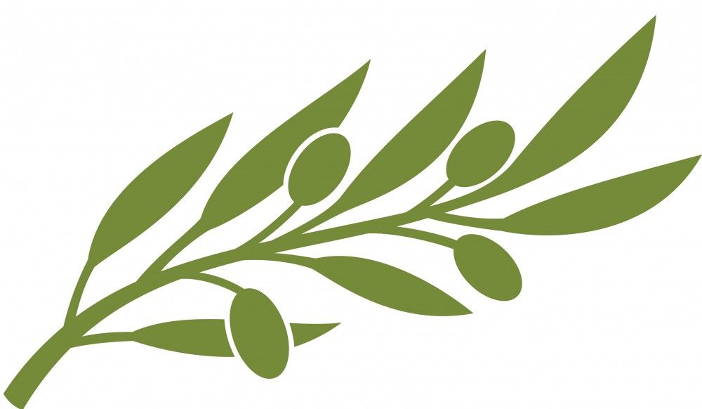 1000x582 Olive Branch Watermark Favours