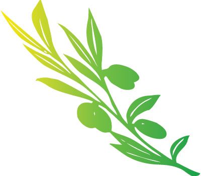 400x350 Coolest Olive Tree Clipart