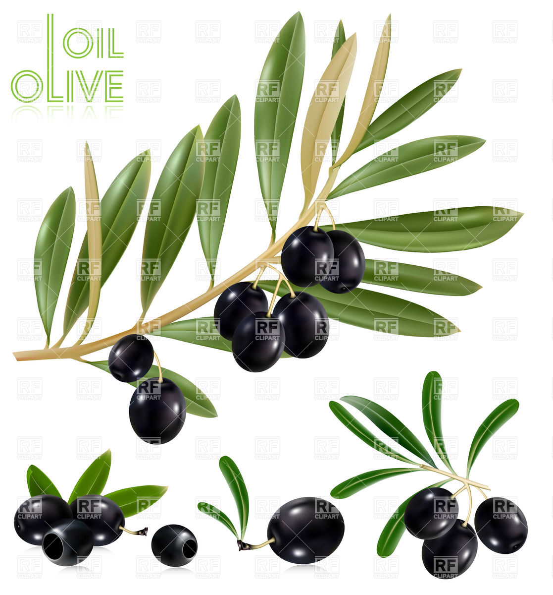 1117x1200 Black Olives Twig With Leaves Royalty Free Vector Clip Art Image