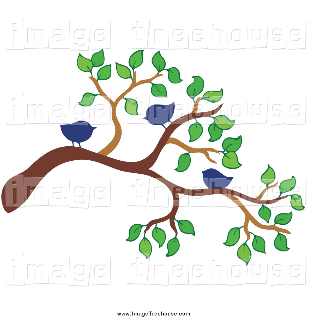 1024x1044 Clip Art Clip Art Tree Branches