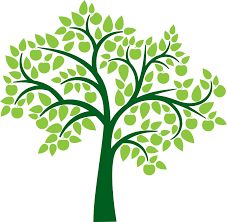 227x222 Clip Art Family Tree Family History Event Ideas