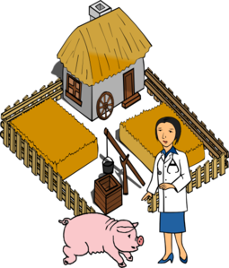 255x299 Doctor Pig On A Farm Clip Art