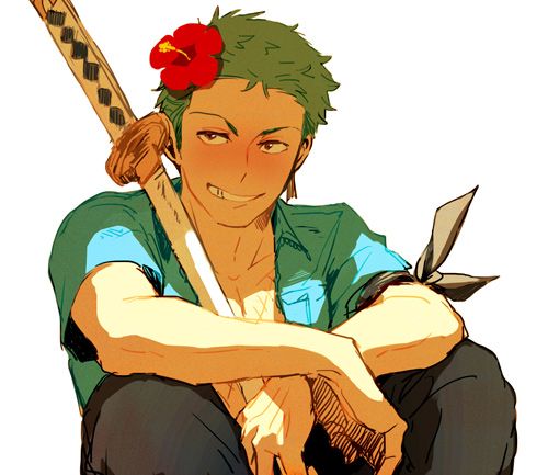 500x433 339 Best Roronoa Zoro Images On Roronoa Zoro, Pirates