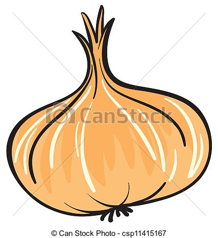 429x470 Illustration Of Onion On A White Background Clip Art Vector