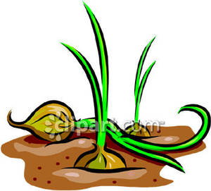 300x271 Garden Clip Art