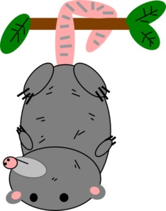 234x298 Free Opossum Clipart