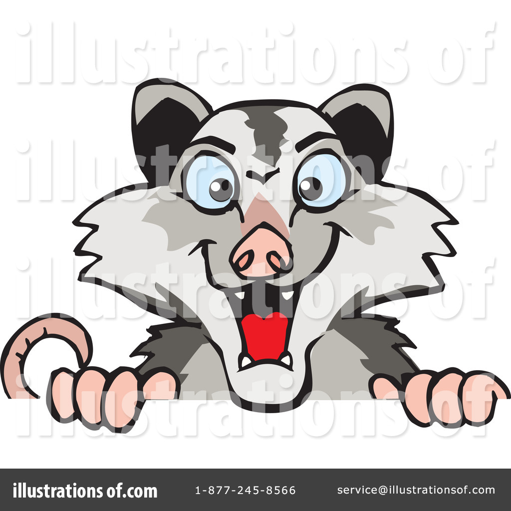 1024x1024 Opossum Clipart