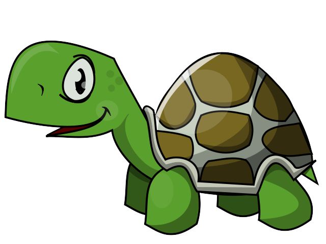 640x480 7 Best Turtles Turtles And More Turtles Images