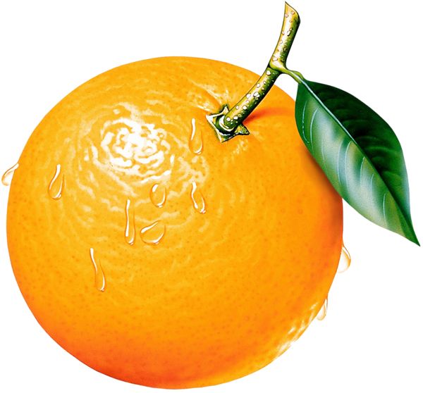 600x558 Orange Clipart Picture Ovocie (Fruit) Clip Art