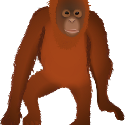 400x400 Osmawani Orangutan (@osmawanio) Twitter