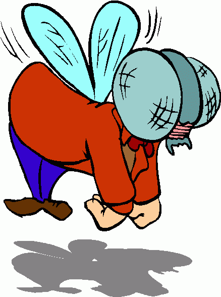 438x588 Orangutan Clip Art