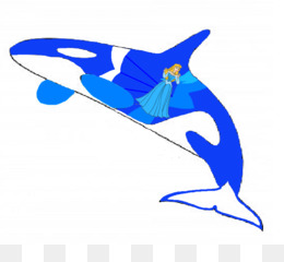 260x240 Killer Whale Baby Whale Clip Art