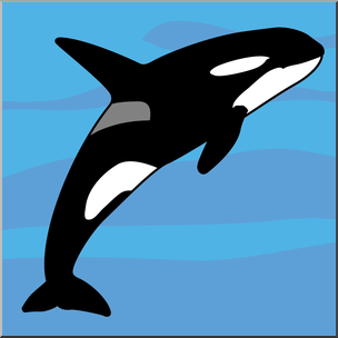304x304 Clip Art Whale Killer Whale Color I Abcteach
