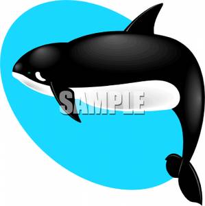 299x300 Fat Orca Whale
