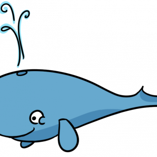 320x320 Killer Whale Clip Art Cliparts Co