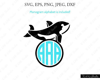 340x270 Killer Whale Etsy
