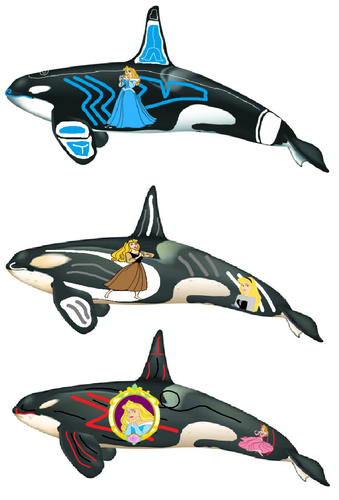 339x500 Orca