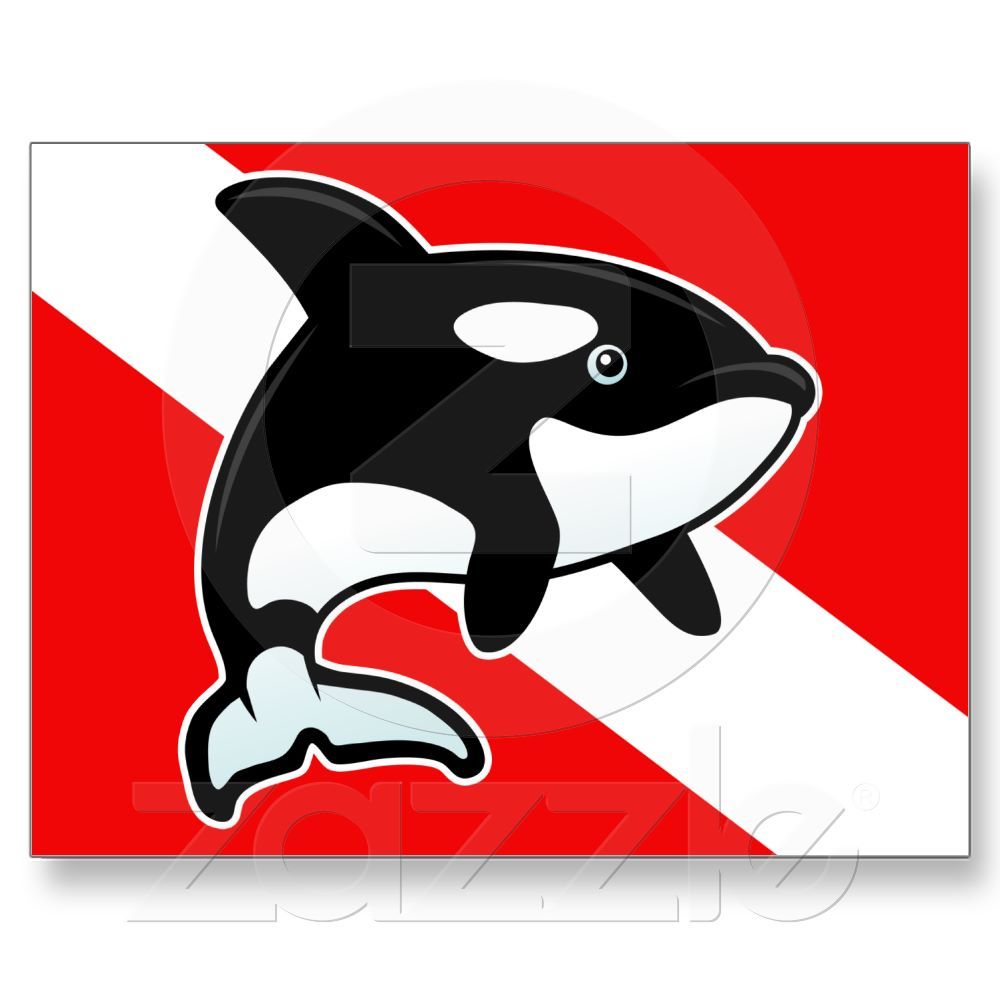 1000x1000 Cartoon Orca Dive Flag Post Card From Cake Projects