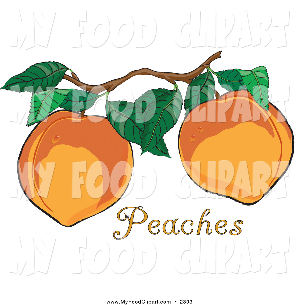 1024x1044 Food Clip Art Of Freshd Organic Peaches Growing On A Tree In