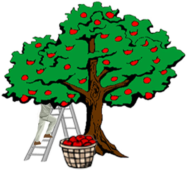 600x600 Mcmullin Orchards