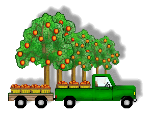 300x228 Orange Orchard Clip Art Clipart Panda