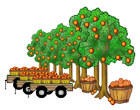 288x228 Oranges Clip Art Clipart Panda