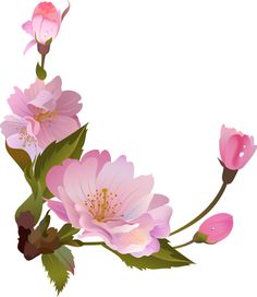 236x272 Home Clipart Png Fun Pictures Gallery Free Clipart Picture