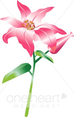 248x388 Orchid Clipart Wedding Lily Clipart