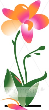 173x388 Bright Orchid Plant Clipart Wedding Orchid Clipart