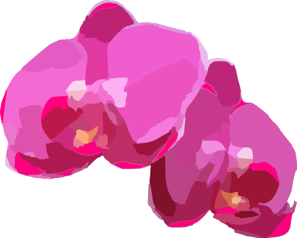 600x480 Pink Orchids Flower Pink Orchids, Flower Clipart