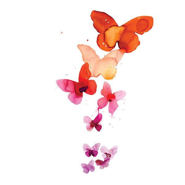 600x600 Butterfly Clipart Watercolor