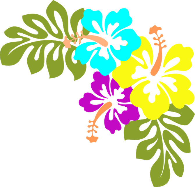 670x640 Clipart Flower Free Hawaiian
