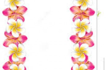 343x228 Flower Borders Clipart Images