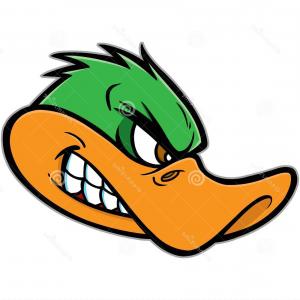 Oregon Ducks Clipart at GetDrawings | Free download