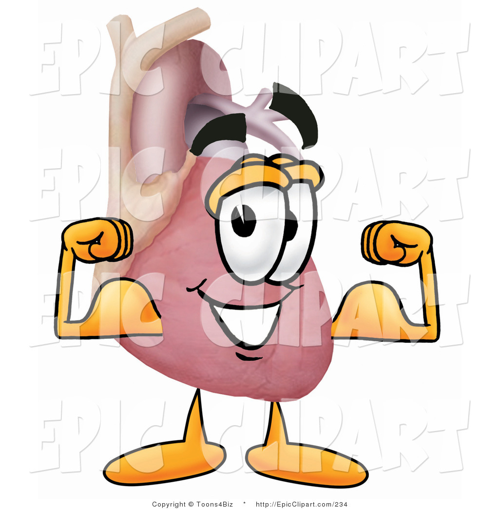 1024x1044 Clip Art Of A Human Heart Organ Mascot Cartoon Character Flexing