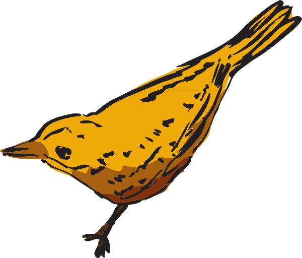 600x512 Curious Yellow Bird Clip Art