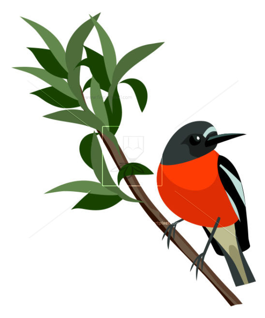 548x657 Download Category Illustrations Page 61 Free Vectors