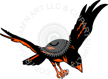 361x265 Oriole Flying