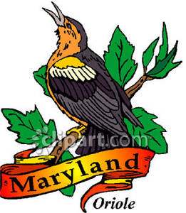 261x300 State Bird Of Maryland, The Oriole Royalty Free Clipart Picture