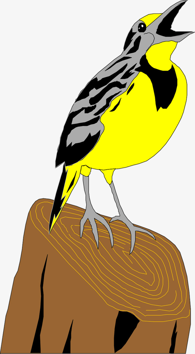 650x1179 Yellow Bird, Yellow, Birds, Animal Png Image And Clipart For Free
