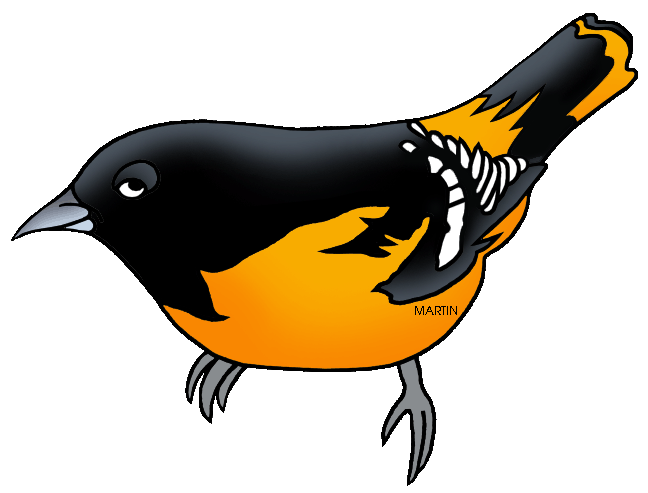 648x493 Animals Clip Art By Phillip Martin, Baltimore Oriole