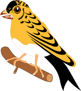 264x299 Bird Clip Art
