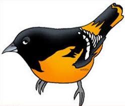249x211 Free Baltimore Oriole Clipart