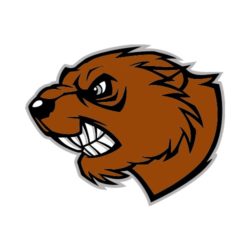 250x250 T Shirt Clip Art For Beavers