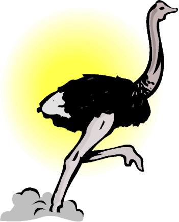351x436 Clip Art Farm Ostriches