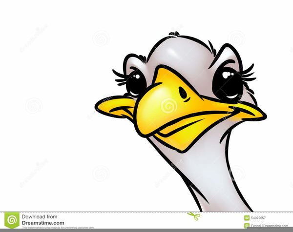 600x476 Emu Clipart Clip Art Free Images
