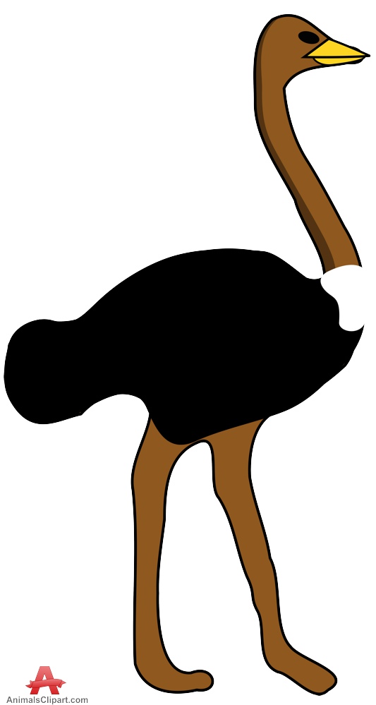 533x999 Ostrich Clipart Free Clipart Design Download