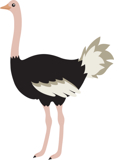 391x550 Ostrich Feather Clip Art